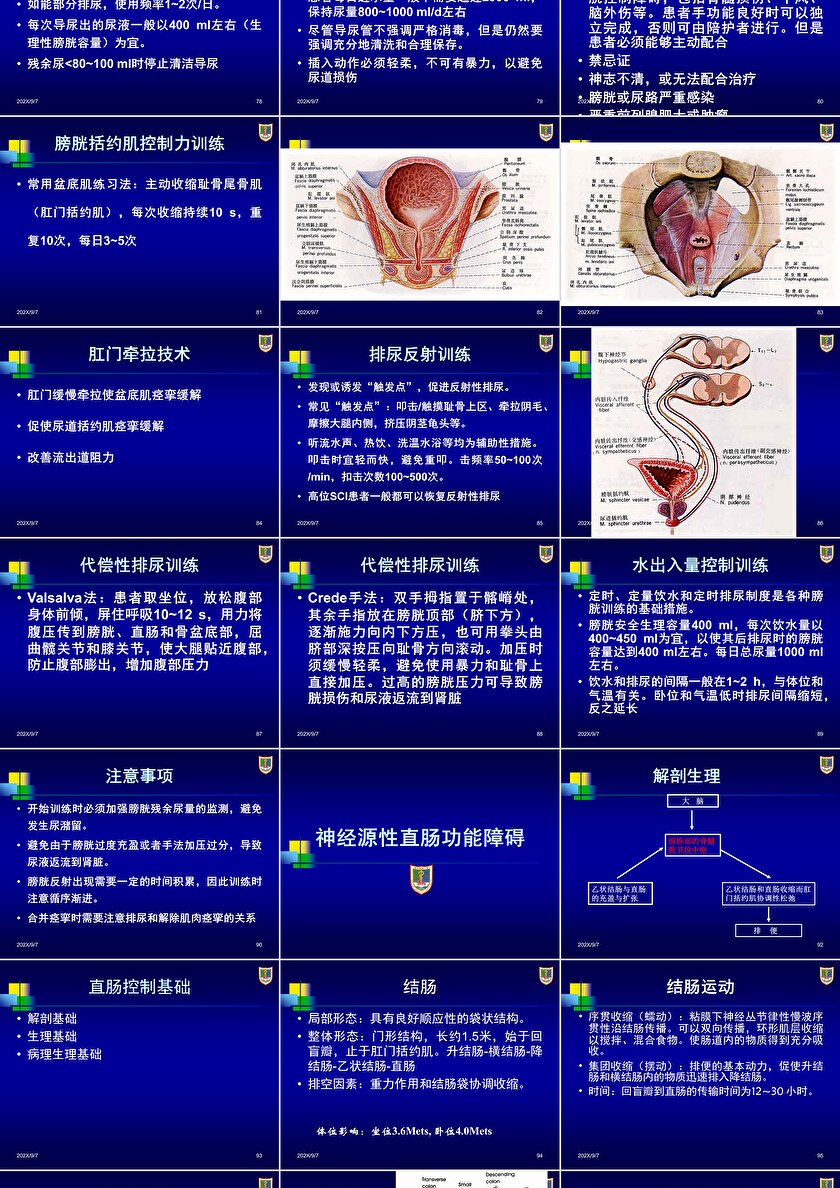 神经源性膀胱ppt卡卡办公 1551