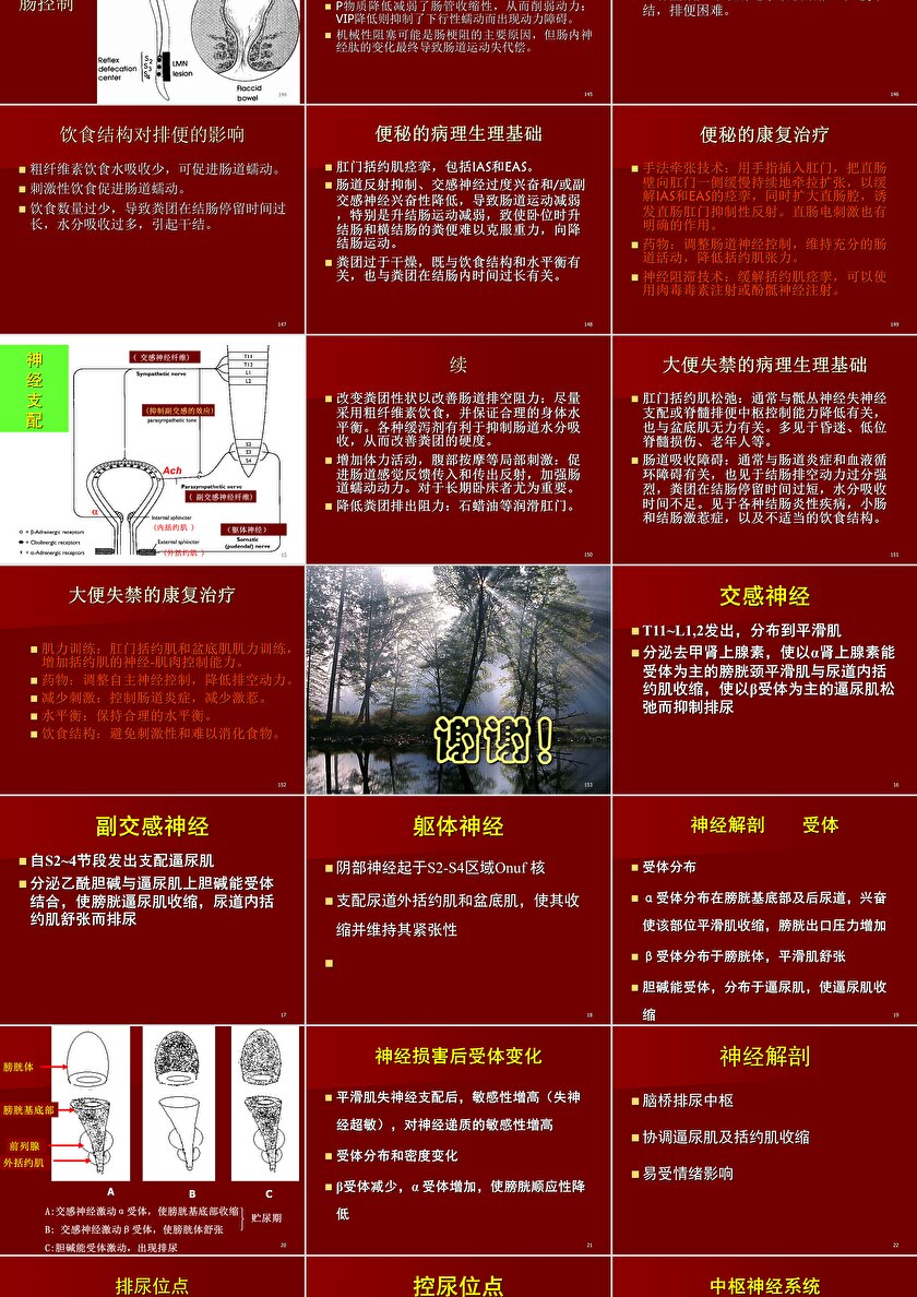 神经源性膀胱及直肠功能障碍ppt模版卡卡办公 1236